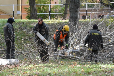 120 ember dolgozik a közterületeken a viharkárok felszámolásán